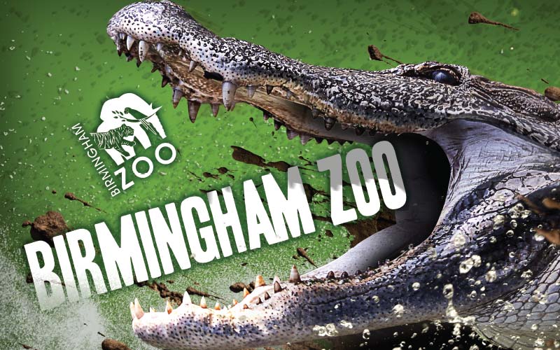 Birmingham Zoo Header