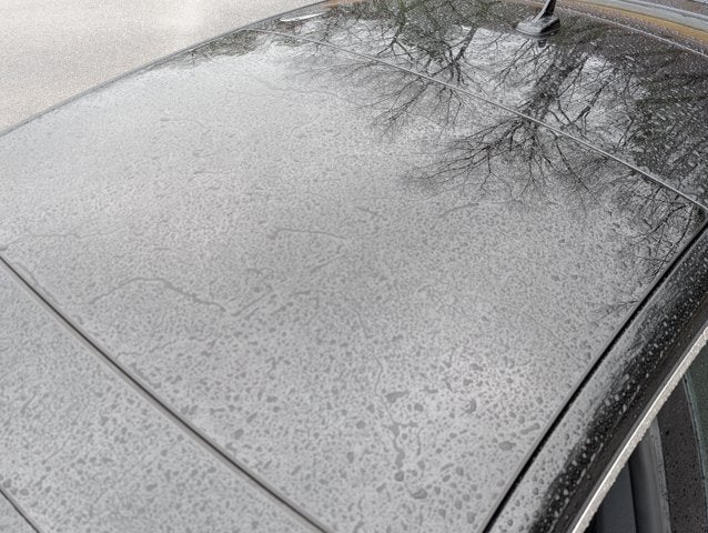 2024 Audi A5 Sportback S line Premium Plus